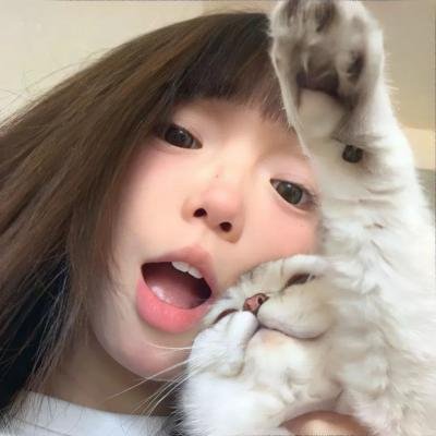赖猫的狮子倒影